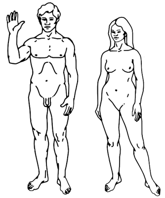 oameni.png